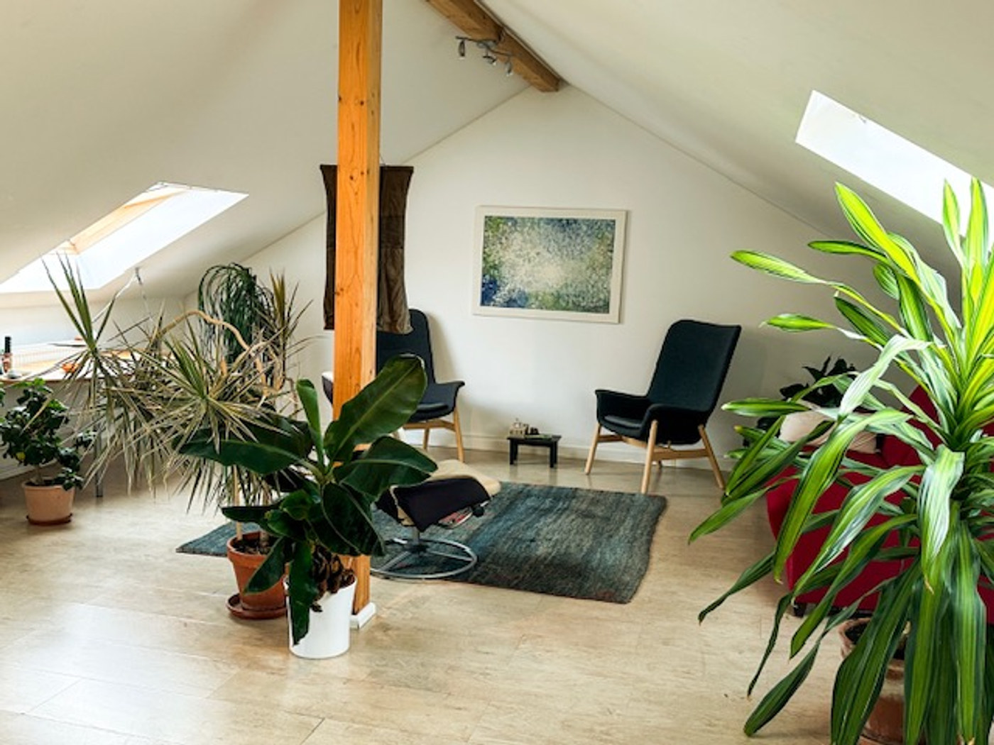 Der Therapieraum der Praxis Schreiber: heller Dachraum mit Holzboden, zwei Sesseln, einem Teppich und vielen Pflanzen